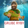 Grube ryby